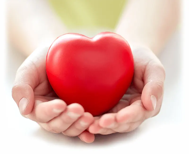 Supportive hands holding a heart in a caring motif